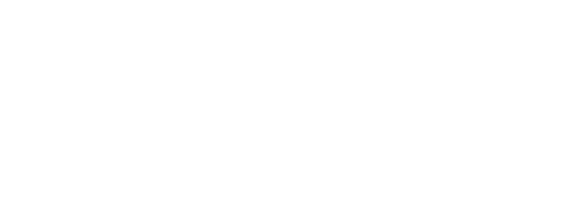 Logo white